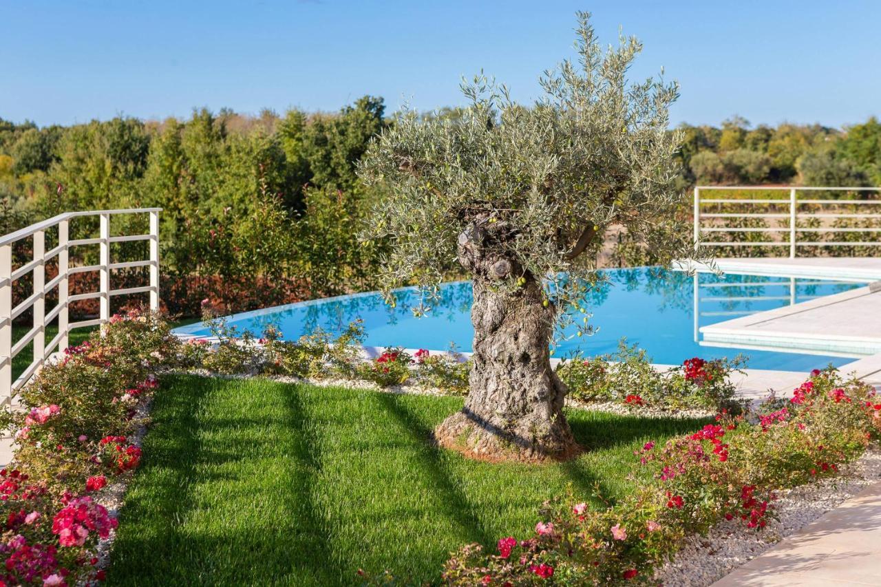 Villa Blanche By Ilc Brtonigla Bagian luar foto